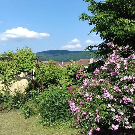 Jardin De Cure Vila Cluny Exterior foto